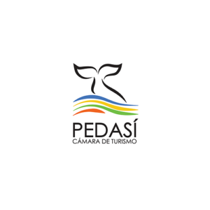 logo pedasi